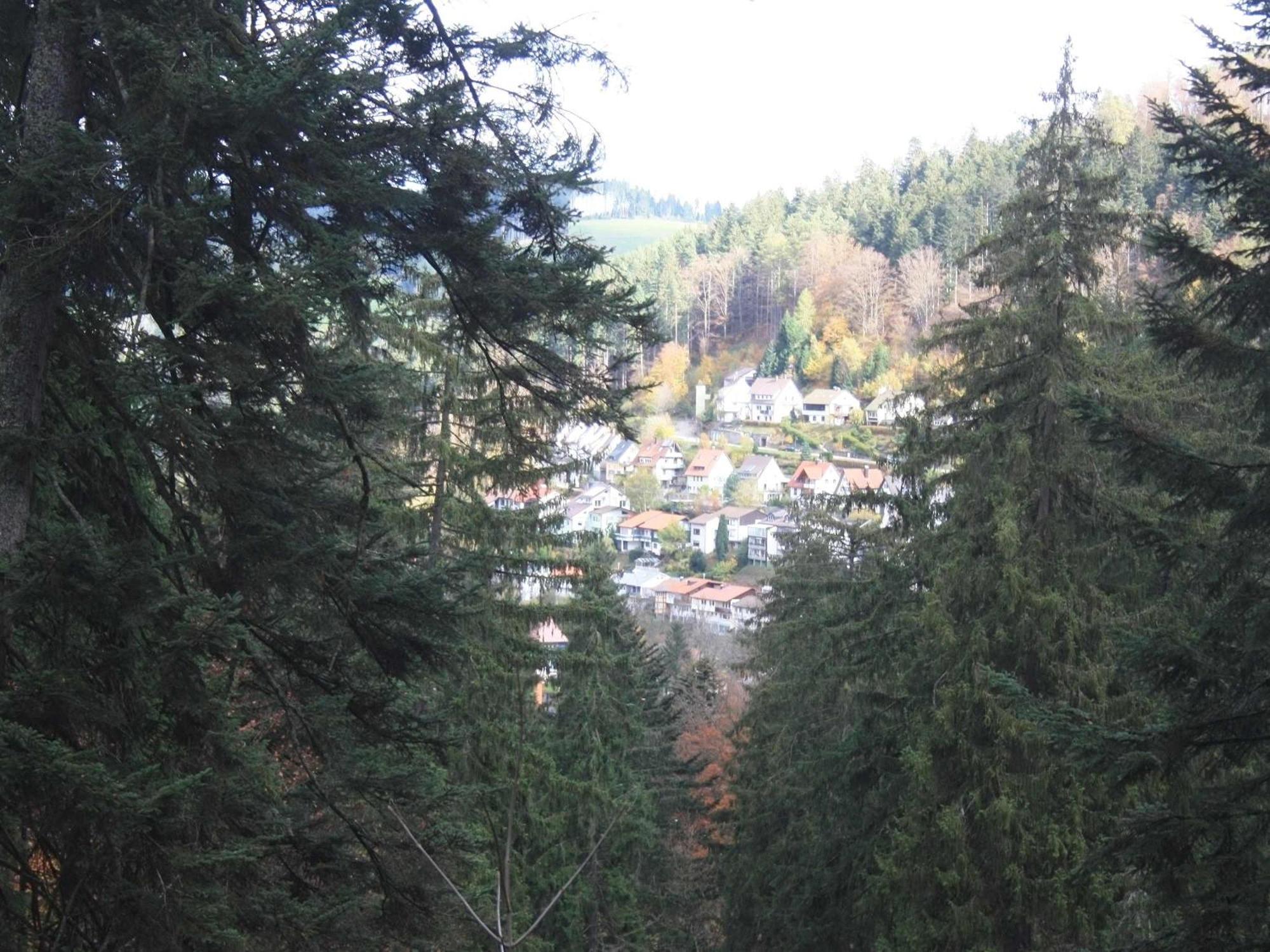 Relaxapartments Black Forest Moments - Maisonette-Wohnung Mit Sonnenbalkon, Schnelles Internet, Naehe Triberger Wasserfaelle, Fuer Bis Zu 4 Personen Schönwalde Екстериор снимка